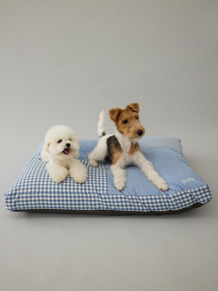 Comfortable pet lounger
