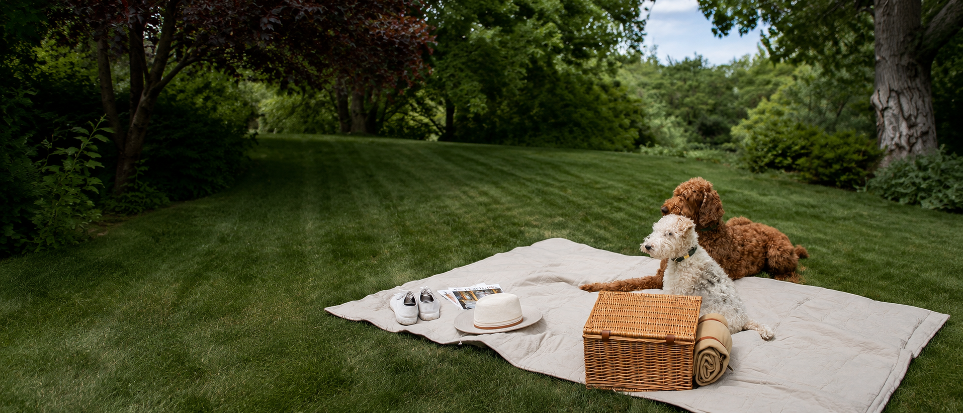 Pets enjoying a relaxed outdoor moment