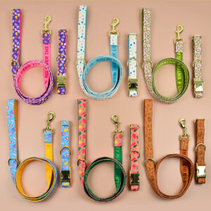 Heavy Industry Double-sided Pet Cat Dog Collar Haulage Rope Package